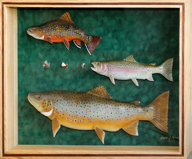 Three Trout Shadowbox